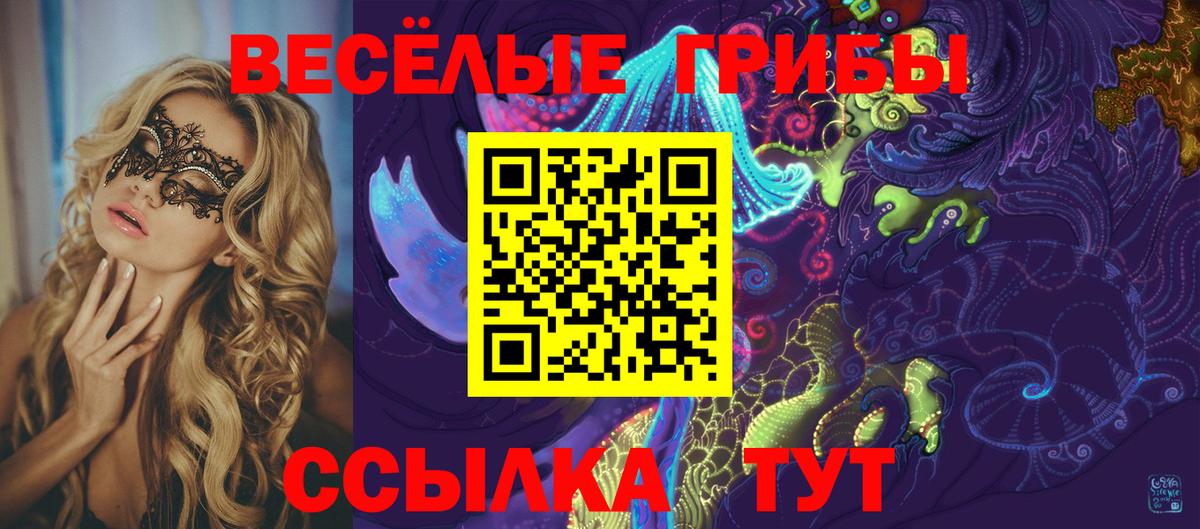 Галлюциногенные грибы Magic Shrooms Заводоуковск