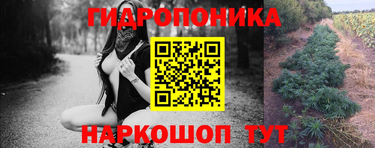 Заводоуковск  Бошки марихуана SATIVA & INDICA  Канабис тримм  Вход с VPN  Конопля OG Kush 